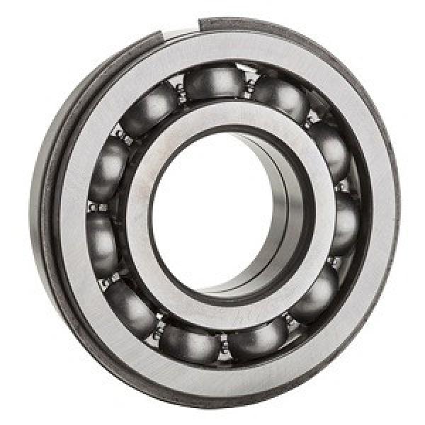 FAG BEARING 6309-N-C3 Single Row Ball Bearings #1 image