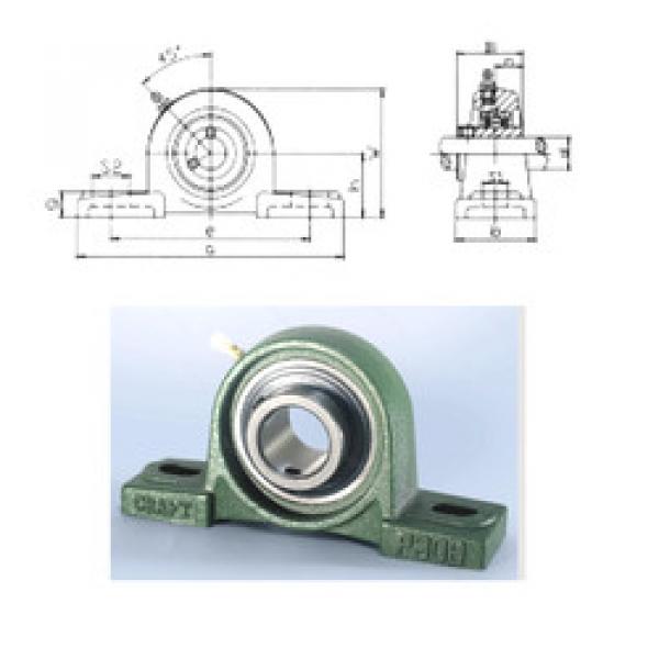 ตลับลูกปืน UCP309 CRAFT #1 image