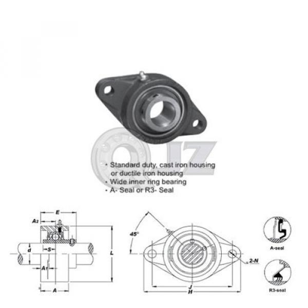 25 mm 2-Bolts Flange Units Cast Iron UCFL205 Mounted Bearing UC205 + FL205 #2 image