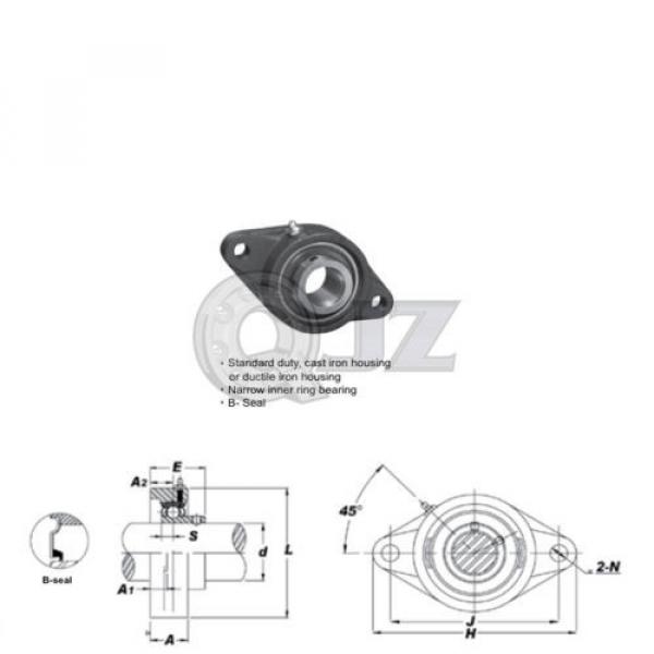 1 in 2-Bolts Flange Units Cast Iron SBFL205-16 Mounted Bearing SB205-16+FL205 #2 image